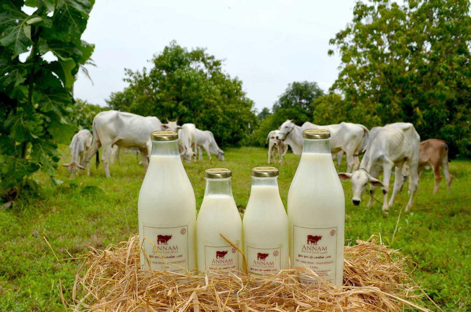 A2 Milk Chennai