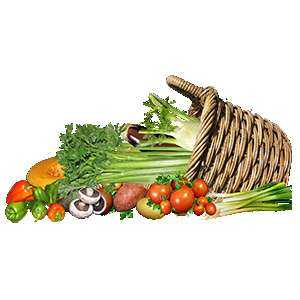 Organic Vegetables