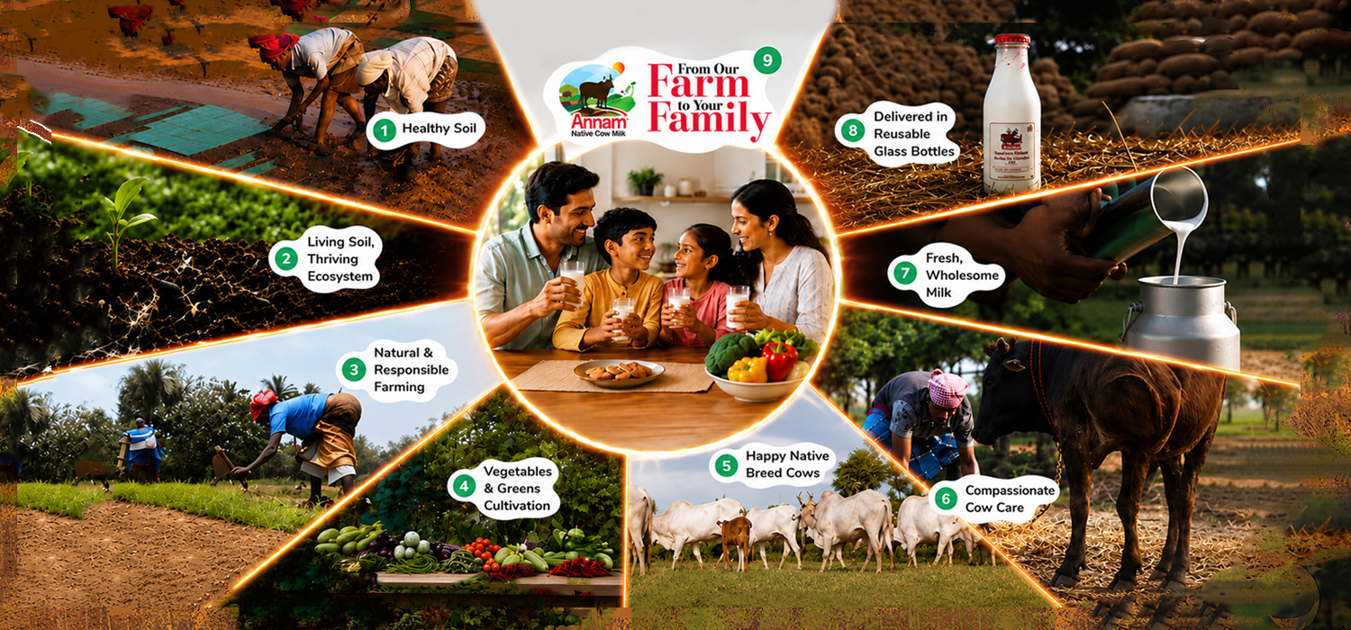 A2 Organic Milk Chennai