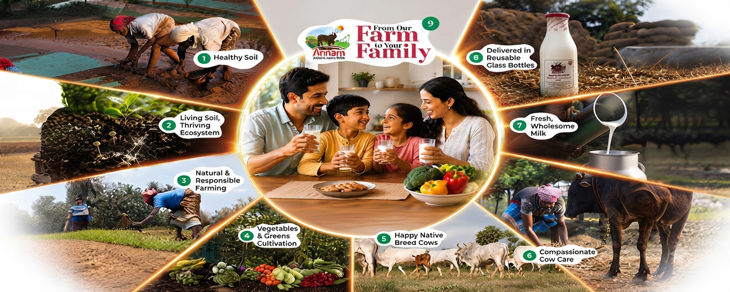 A2 Organic Milk Chennai