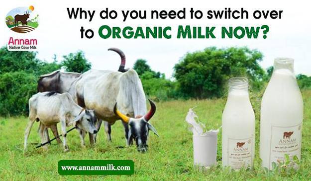 Organic Milk Benefits