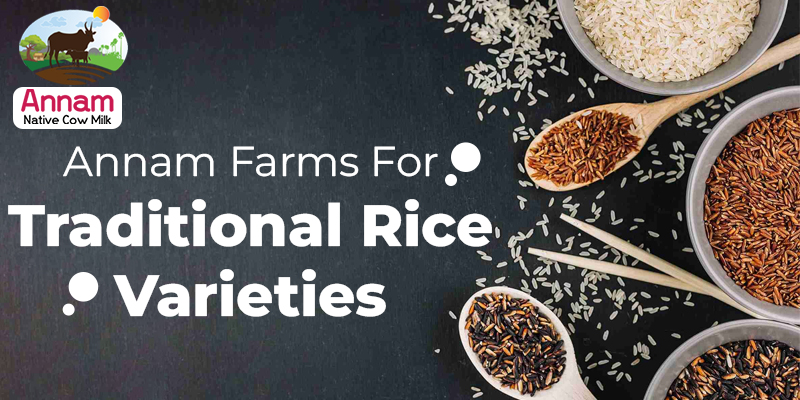 Annam Farms For Traditional Rice Varieties