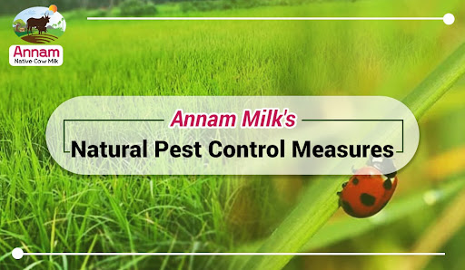 Annam Milk's Natural Pest Control Measures