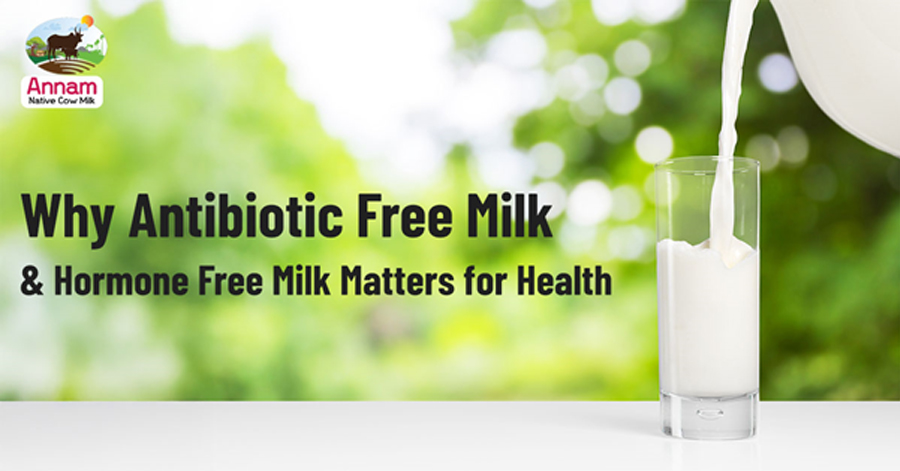 Why Antibiotic Free Milk and Hormone Free Milk Matters for Health