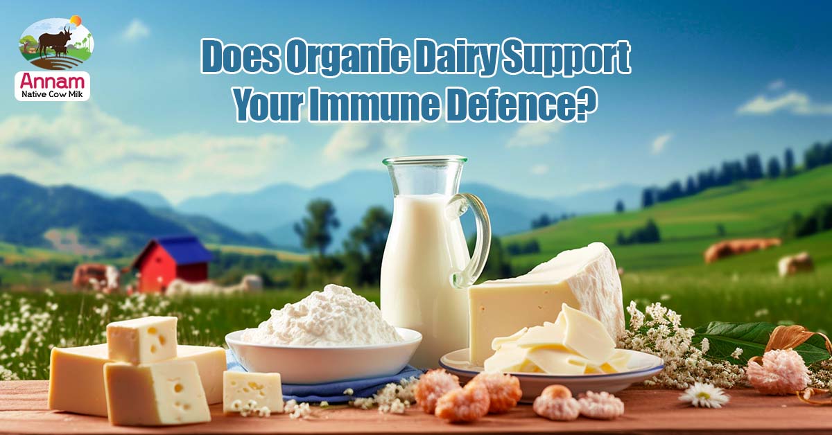 Does Organic Dairy Support Your Immune Defence?
