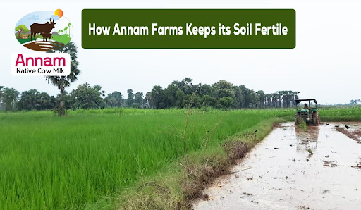 How Annam Farms Keeps its Soil Fertile?