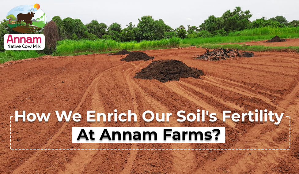 How We Enrich Our Soil's Fertility At Annam Farms?