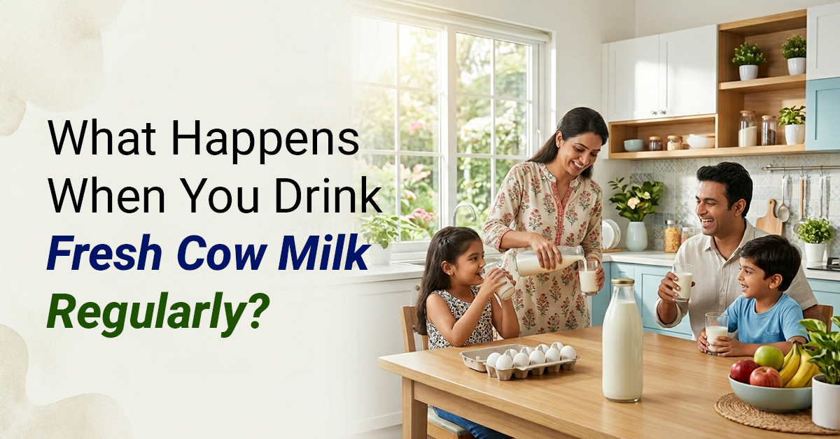 What happens when you drink fresh cow milk regularly?