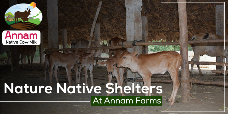 Nature Native Shelters At Annam Farms