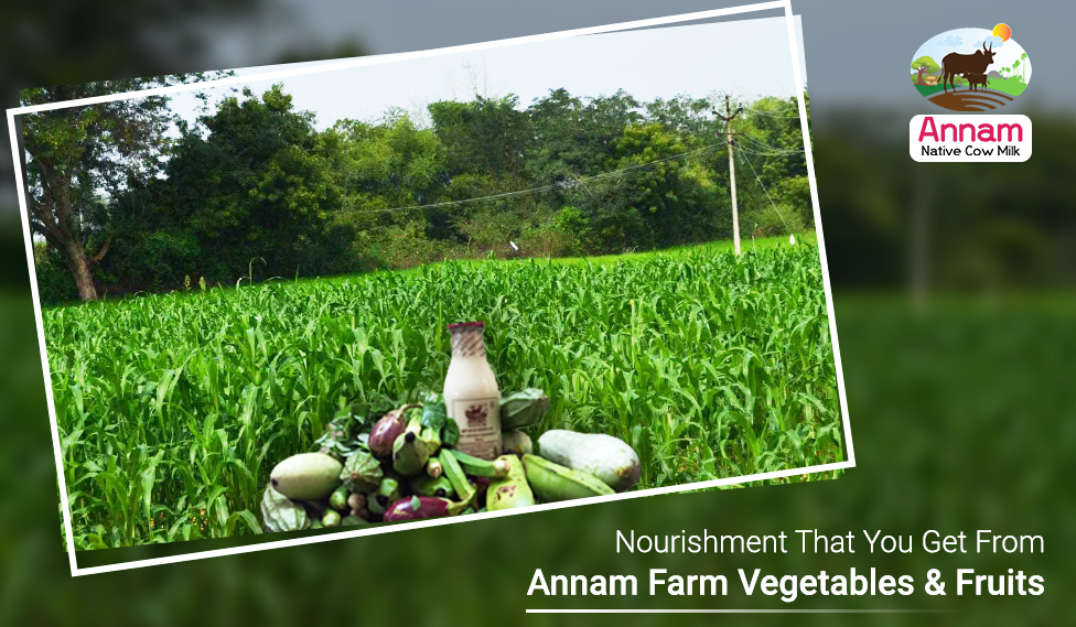 Nourishment That You Get From Annam Farm Vegetables & Fruits