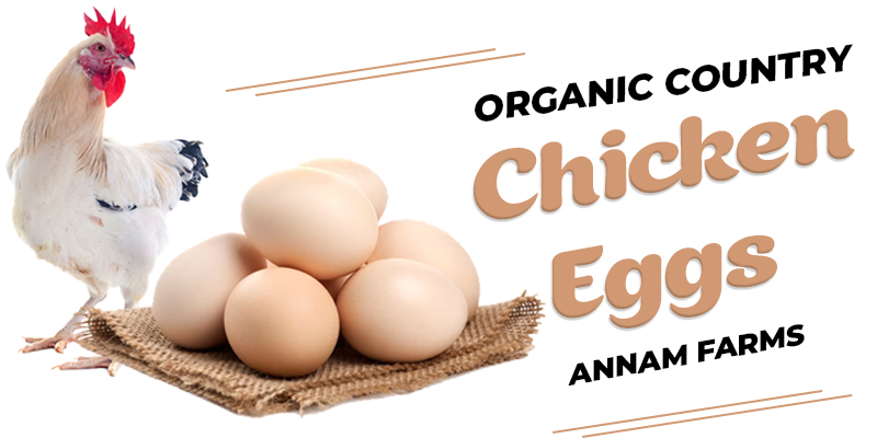 Organic Country Chicken Eggs From Annam Farms