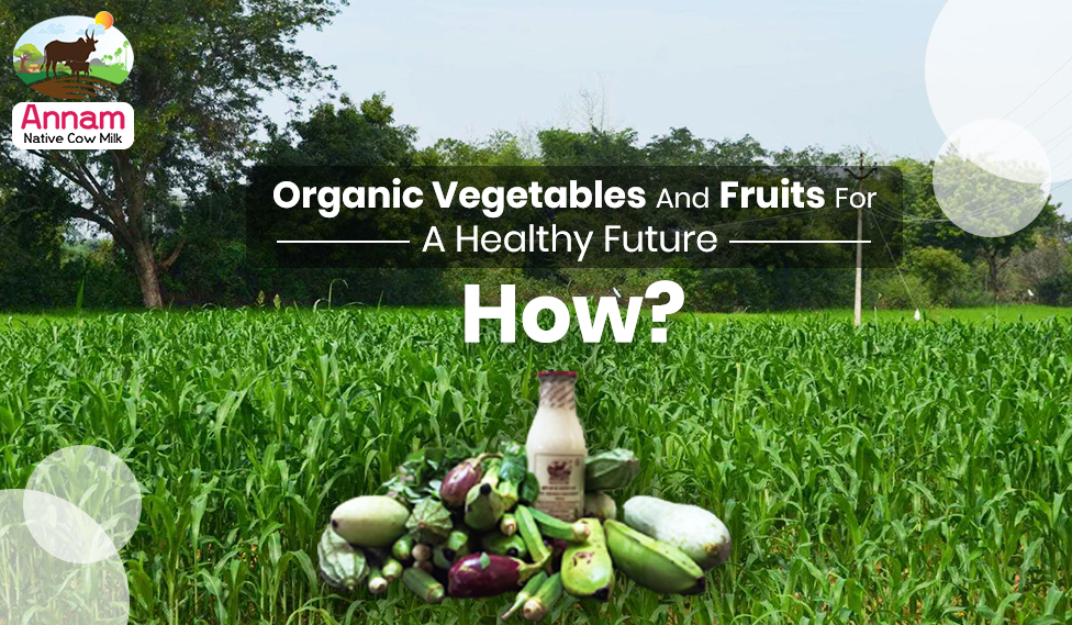 Organic Vegetables And Fruits For A Healthy Future - How?
