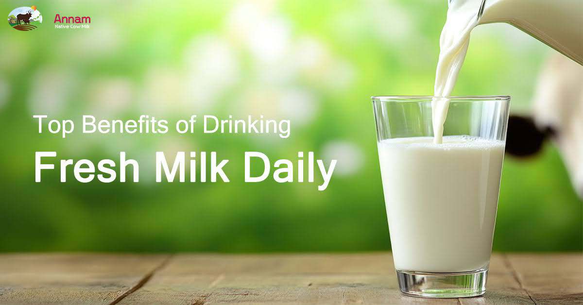 Top Benefits of Drinking Fresh Milk Daily