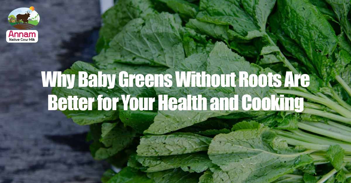 Why Baby Greens Without Roots Are Better for Your Health and Cooking