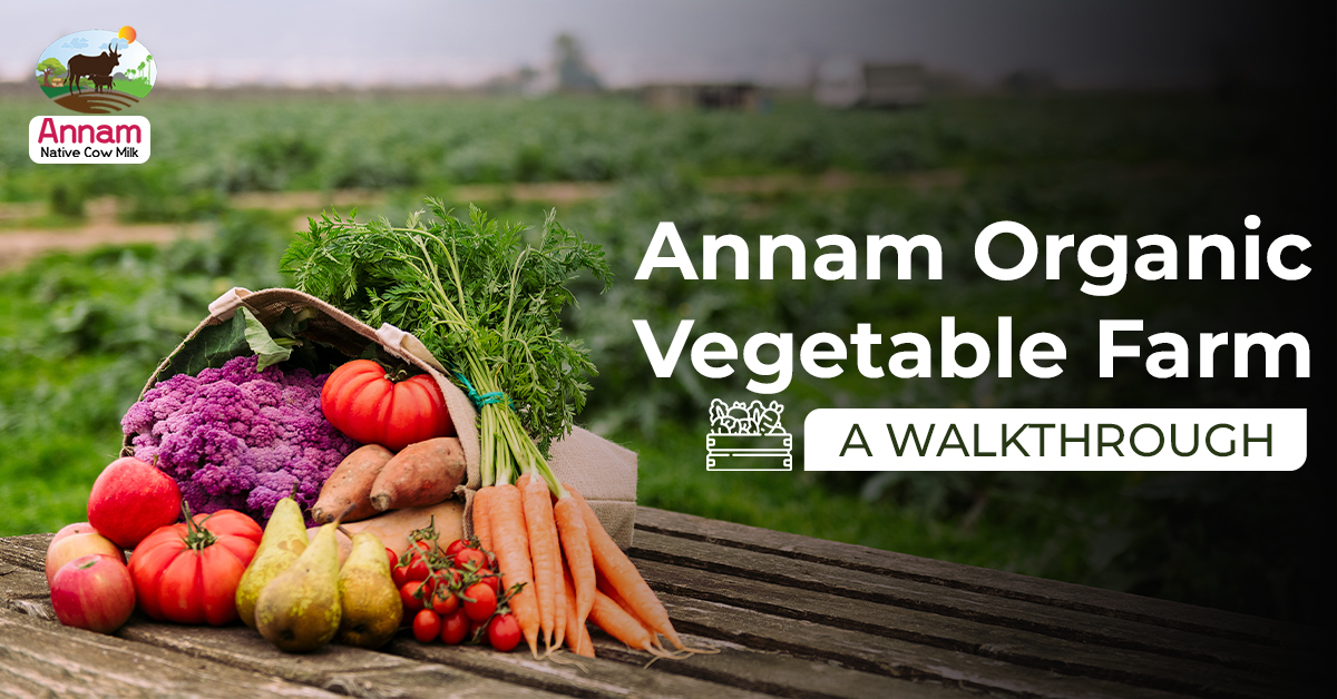 Annam Organic Vegetable Farm