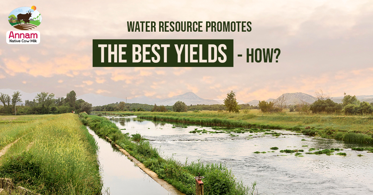 Water Resource Promotes The Best Yields