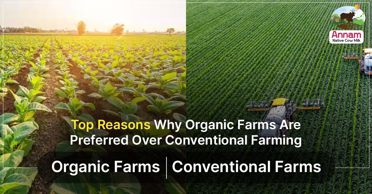 Top Reasons Why Organic Farms Are Preferred Over Conventional Farming