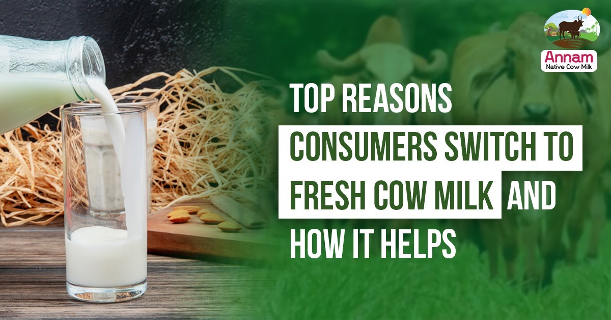 Top Reasons Consumers Switch to Fresh Cow Milk and How It Helps