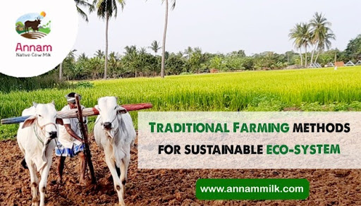 Traditional Farming methods for sustainable eco-system